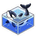 Orca $100k