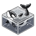 Orca $10k